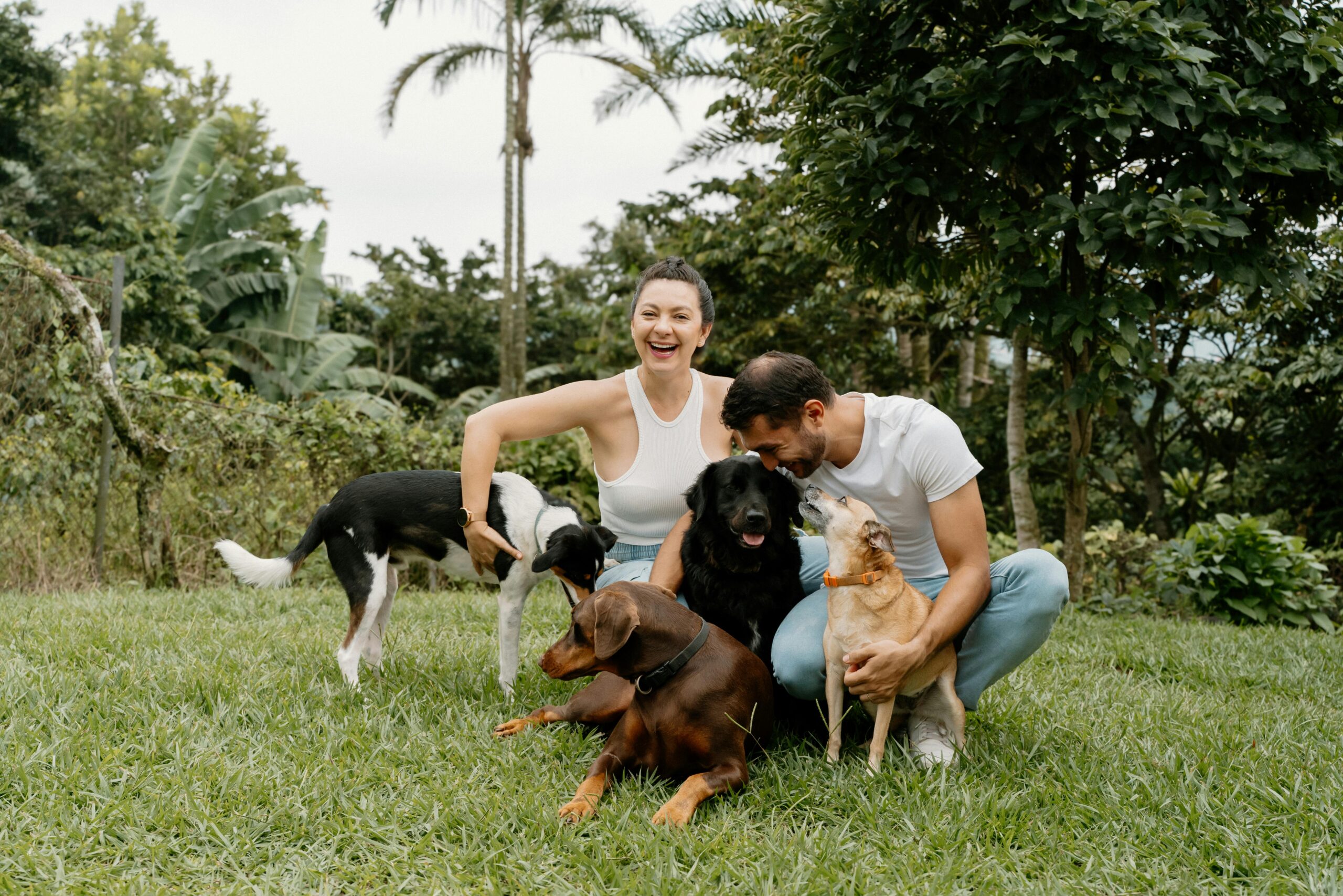 pexels george chambers 413080139 29759270